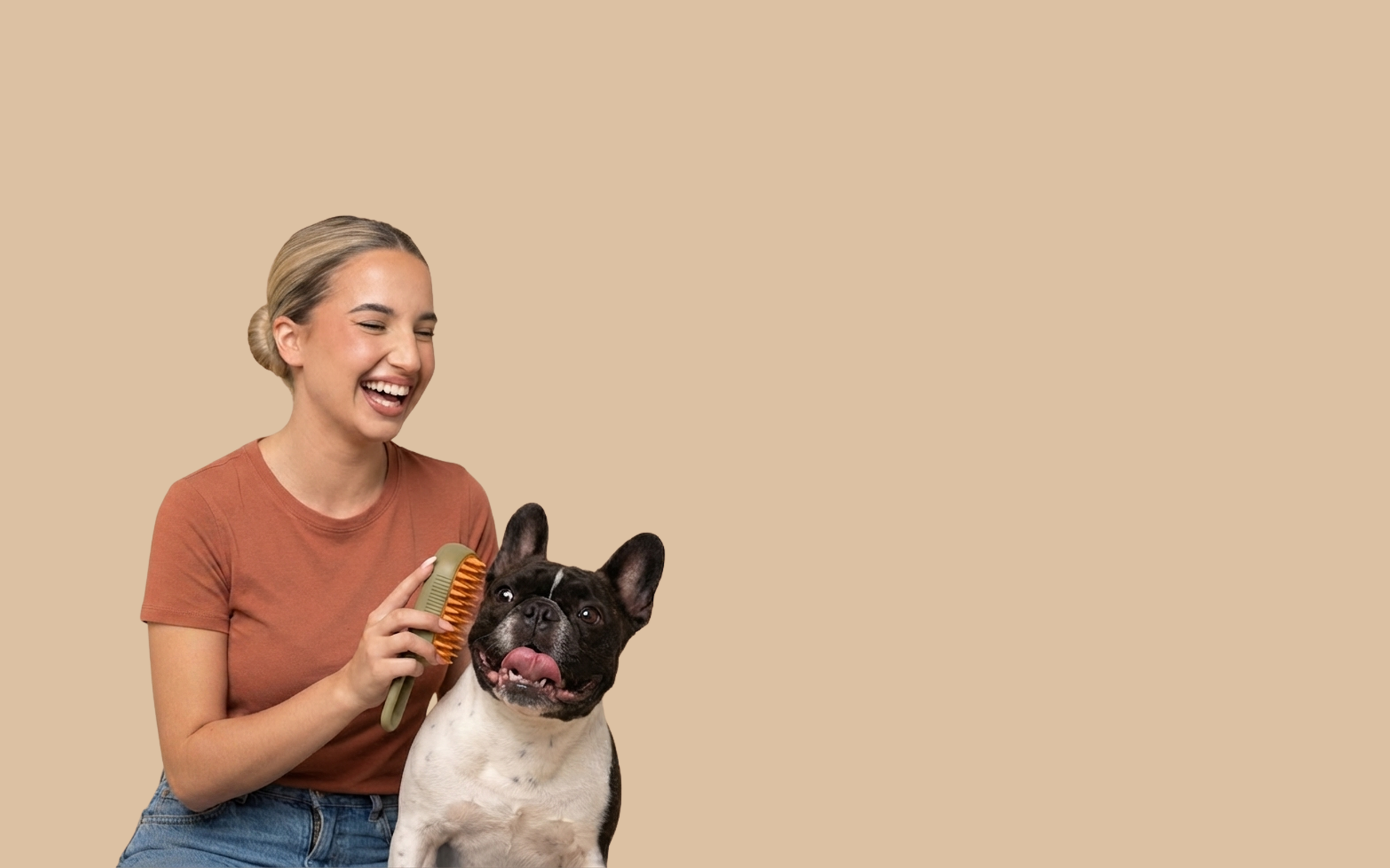 3-in-1 Electric Steam Pet Grooming Brush