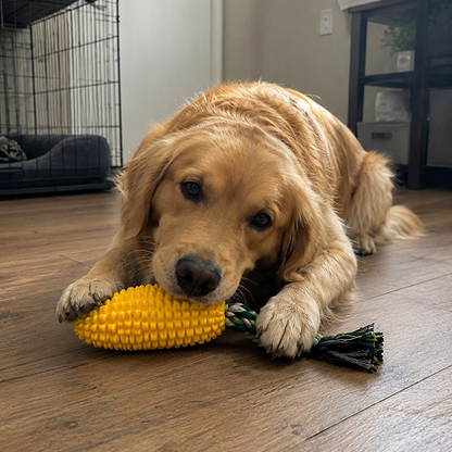 Dog playing with a yellow corn-shaped toy on a wooden floor.