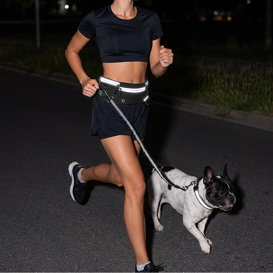 Hands-Free Dog Running Leash — Bungee Leash + Reflective Waist Bag