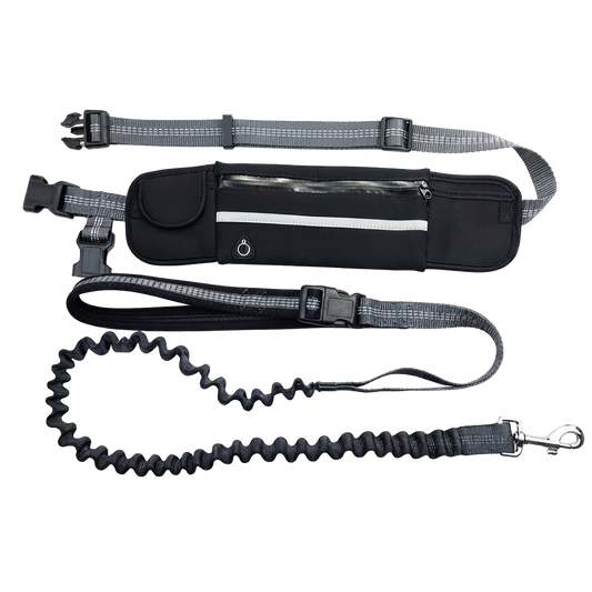 Hands-Free Bungee Dog Leash with Waist Belt