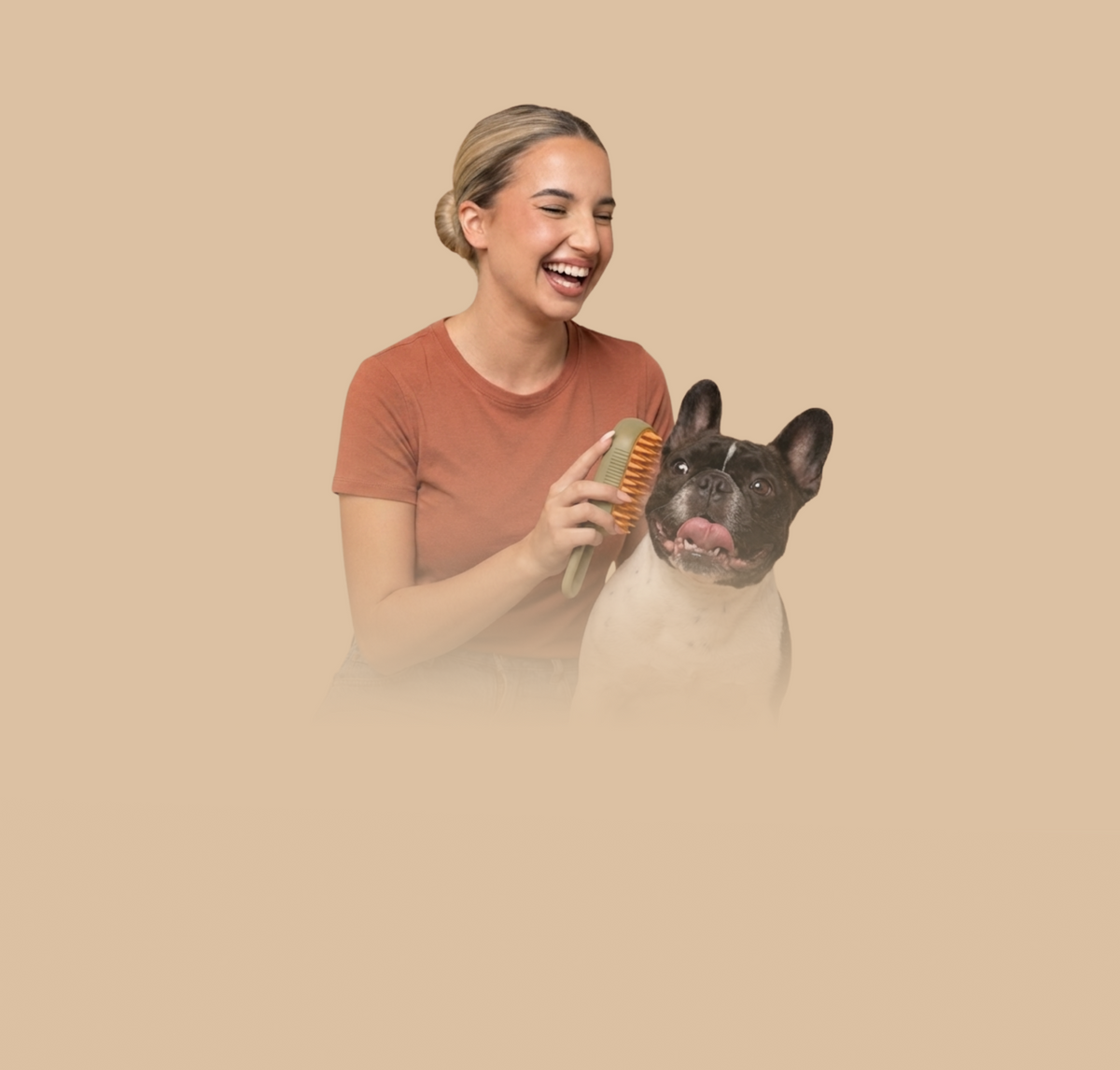3-in-1 Electric Steam Pet Grooming Brush