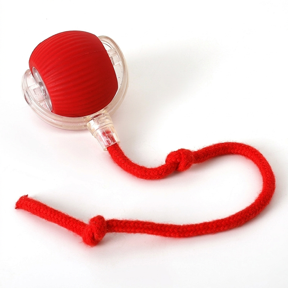 Interactive Dog & Cat Toy — Self-Rolling Ball for Bored Dogs