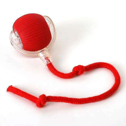 Interactive Dog & Cat Toy — Self-Rolling Ball for Bored Dogs
