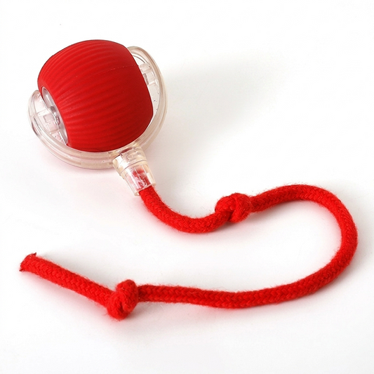 Interactive Dog & Cat Toy — Self-Rolling Ball for Bored Dogs