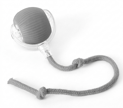 Interactive Dog & Cat Toy — Self-Rolling Ball for Bored Dogs