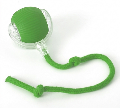 Interactive Dog & Cat Toy — Self-Rolling Ball for Bored Dogs
