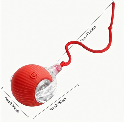Interactive Dog & Cat Toy — Self-Rolling Ball for Bored Dogs