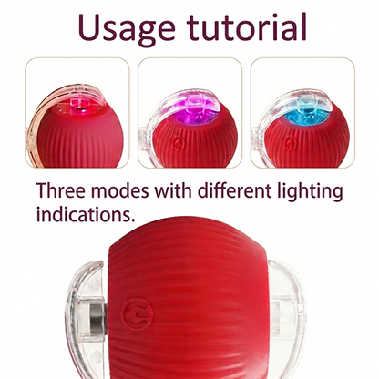 Interactive Dog & Cat Toy — Self-Rolling Ball for Bored Dogs