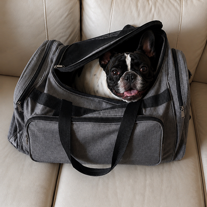 Dog peeking out from a gray pet carrier on a beige couch