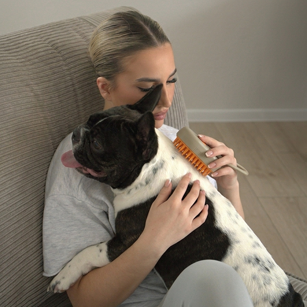 3-in-1 Electric Steam Pet Grooming Brush