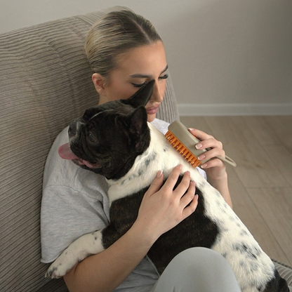3-in-1 Electric Steam Pet Grooming Brush