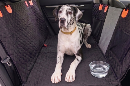 Dog sitting on a car seat cover with a bowl of water in the back seat of a vehicle