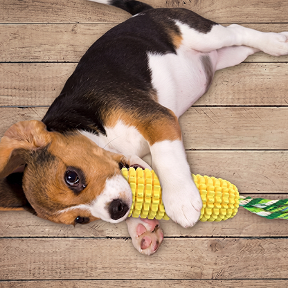 Dog playing with a yellow corn-shaped toy on wooden floor