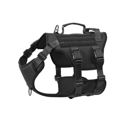 Black dog harness on a white background