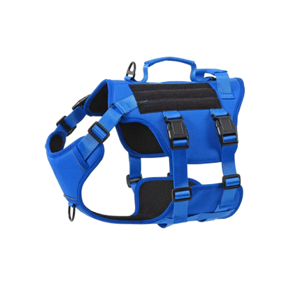 Blue dog harness with black padding on a white background
