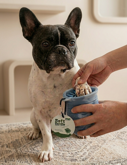Dog paw getting cleaned with a paw cleaner held by a person indoors