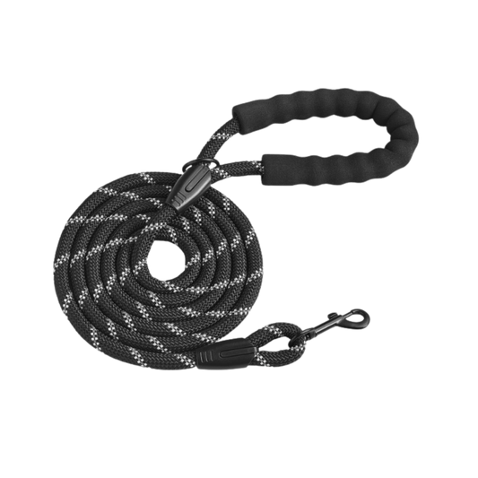 Black and gray braided dog leash on a white background