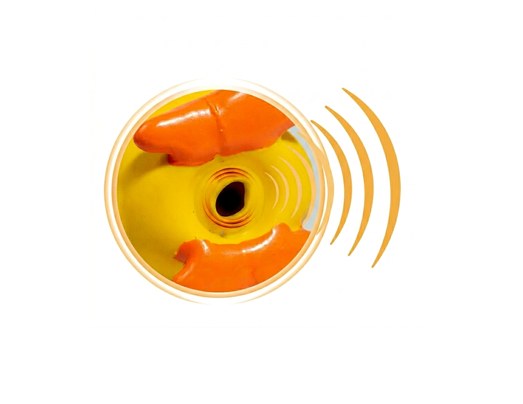 squeaky duck sound