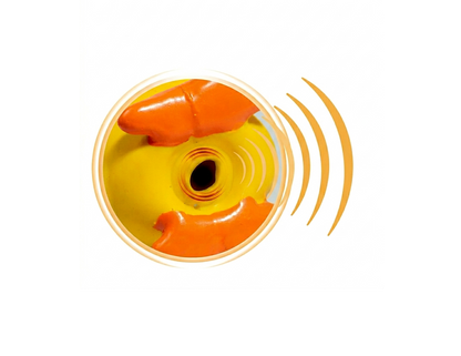 squeaky duck sound
