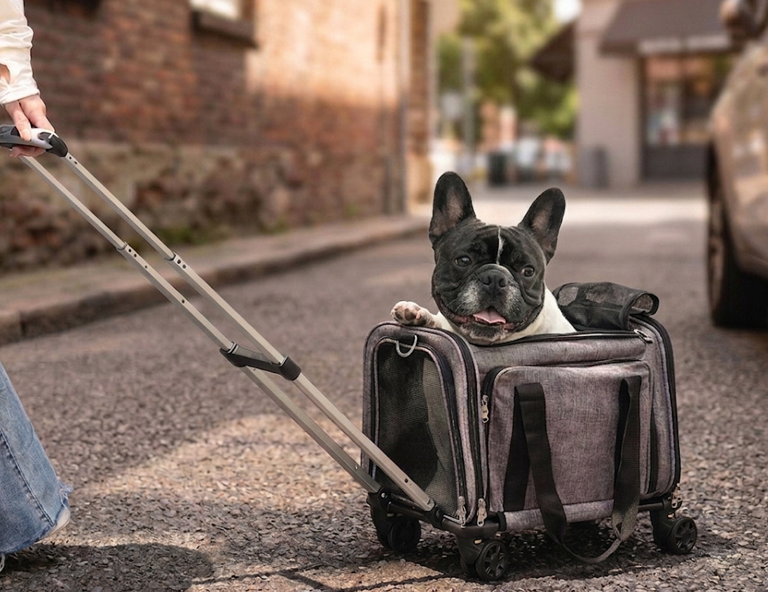 Dog sitting inside a suitcase pulled by a person on a street.