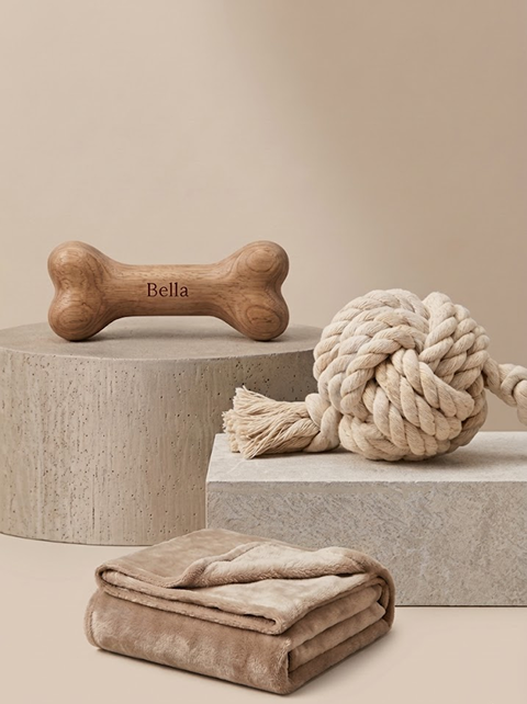 dog toys and accessories 