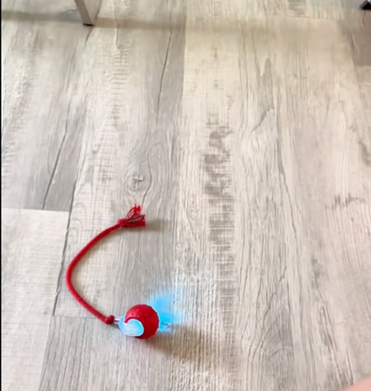 Interactive Dog & Cat Toy — Self-Rolling Ball for Bored Dogs