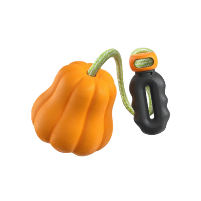 Orange pumpkin-shaped dog toy with a black and orange handle on a white background