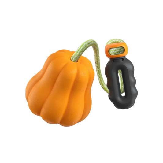 Orange pumpkin-shaped dog toy with a black and orange handle on a white background