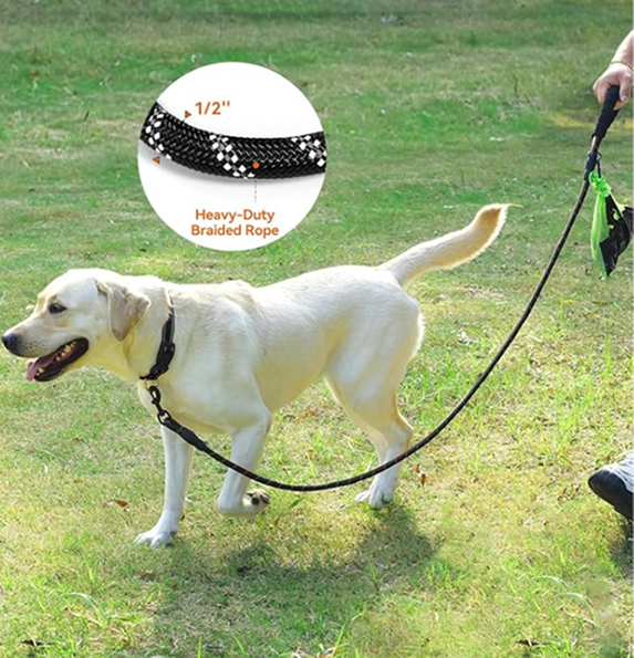 Dog on a leash with a close-up of the heavy-duty braided rope, outdoors.