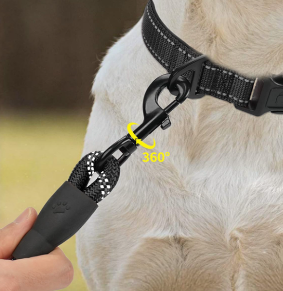 Dog leash attached to a collar with a hand holding the leash, on a blurred natural background.