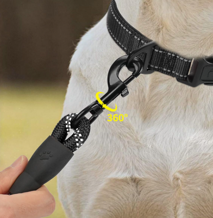 Dog leash attached to a collar with a hand holding the leash, on a blurred natural background.